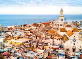 მანიფესტი ემიგრანტებისთვის – დავბრუნდეთ ბარიდან საქართველოში პირდაპირი ფრენით! bari