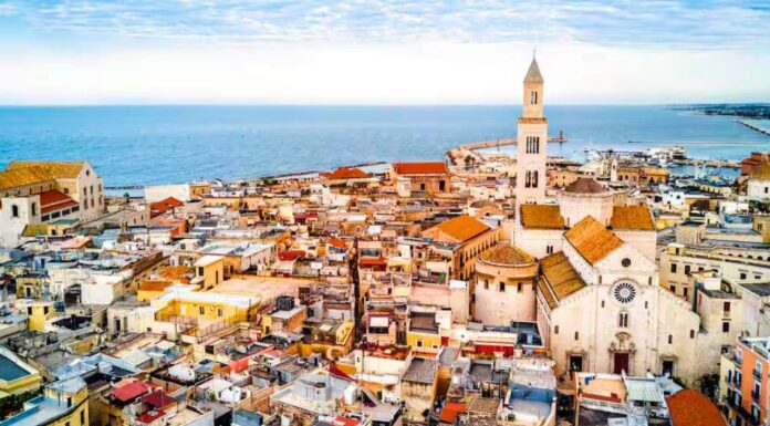 მანიფესტი ემიგრანტებისთვის – დავბრუნდეთ ბარიდან საქართველოში პირდაპირი ფრენით! bari