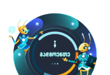 მცირე ბიზნესის ბუღალტერია: გზამკვლევი მეწარმეებისთვის ფინანსური სტაბილურობისკენ